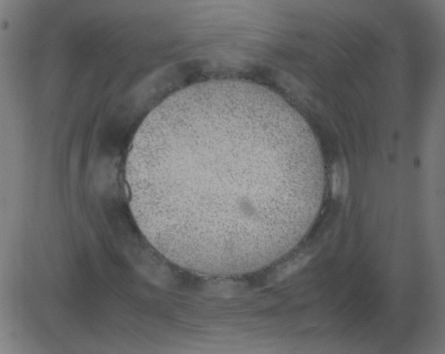 X0000081291059200702012238