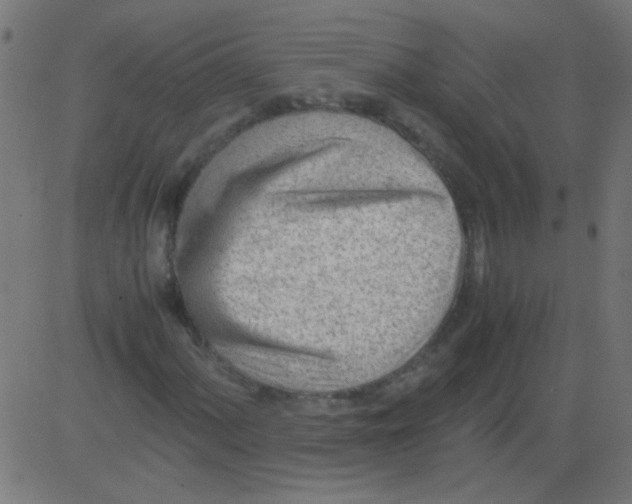 X0000081291060200702012238