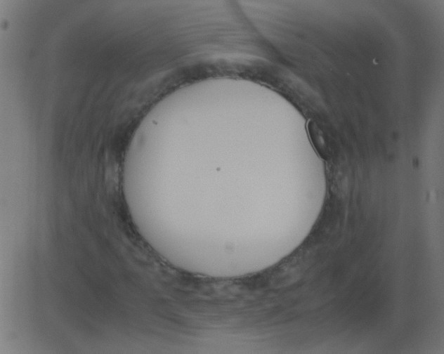 X0000081291061200702012238