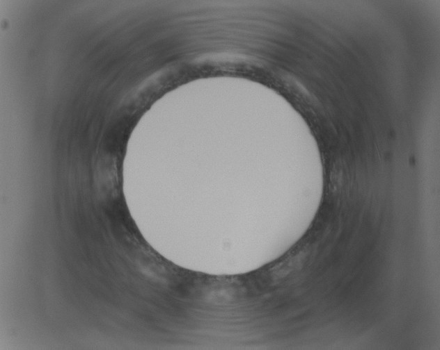 X0000081291062200702012238