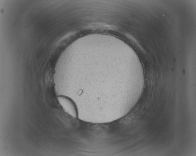 X0000081291063200702012238