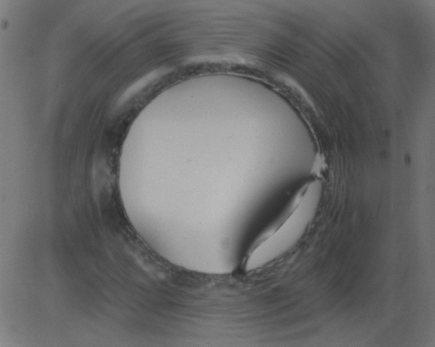 X0000081291064200702012238