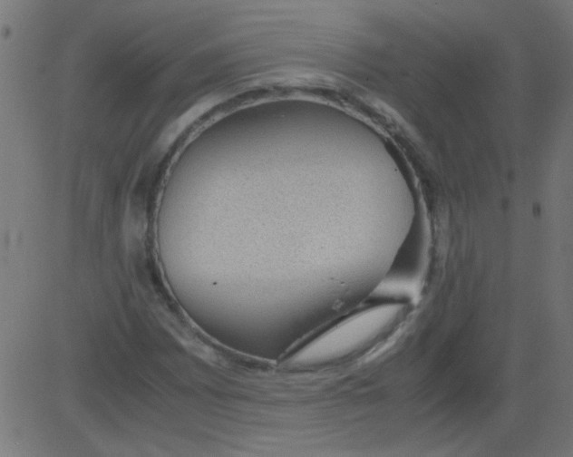 X0000081291065200702012238