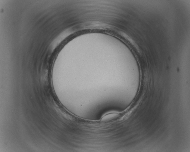 X0000081291066200702012238