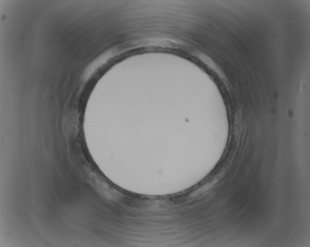 X0000081291067200702012238