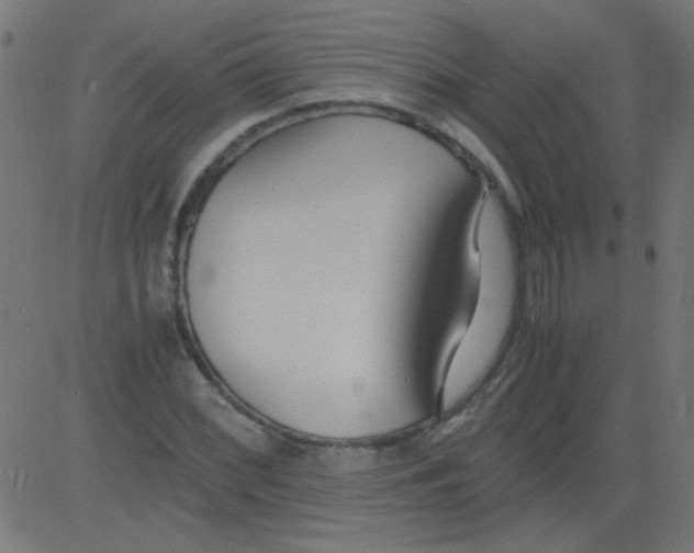 X0000081291068200702012238