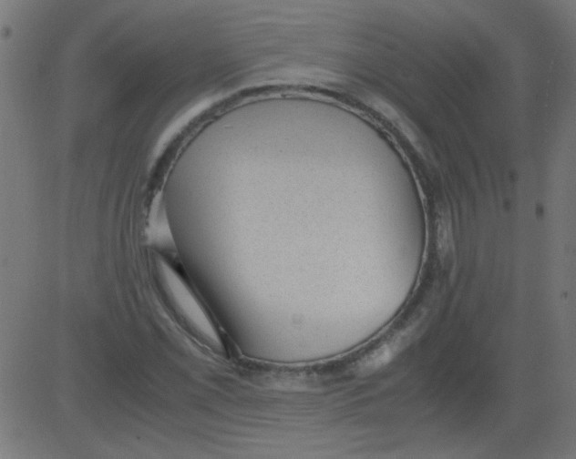 X0000081291069200702012238