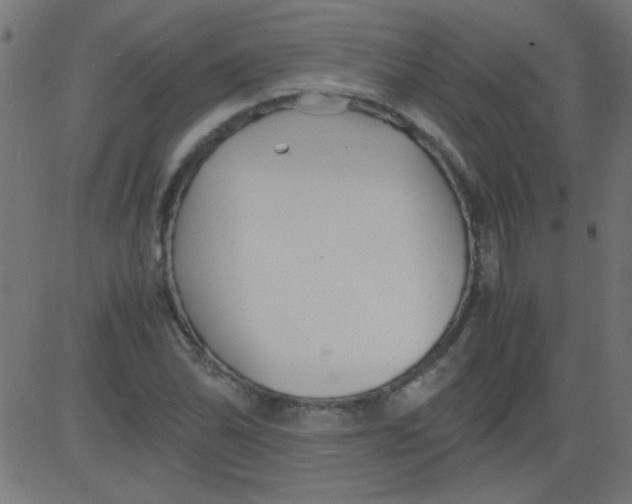 X0000081291070200702012238