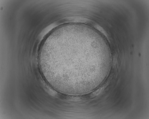 X0000081291071200702012238