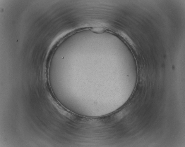 X0000081291072200702012238