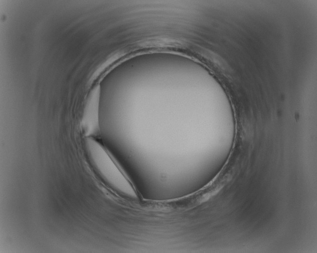 X0000081291073200702012238