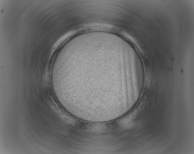 X0000081291074200702012238