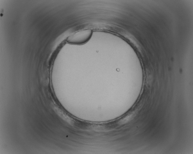 X0000081291075200702012238