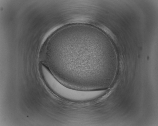 X0000081291077200702012238