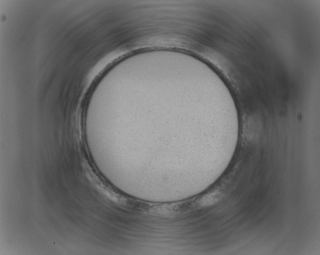 X0000081291078200702012238