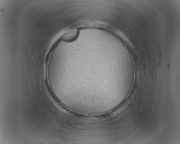 X0000081291079200702012238