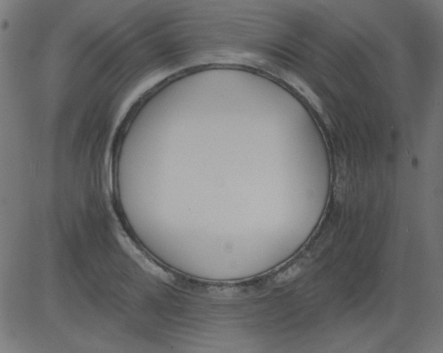 X0000081291080200702012238