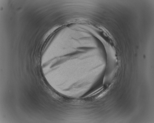 X0000081291081200702012238