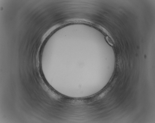 X0000081291082200702012238