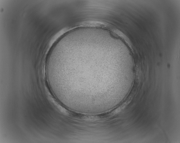 X0000081291083200702012238