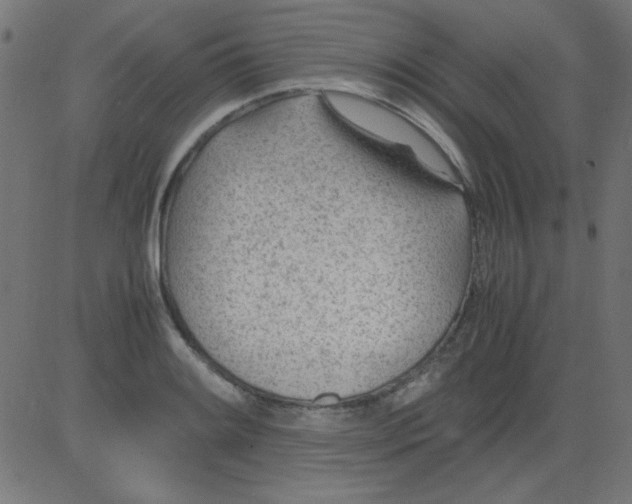 X0000081291084200702012238