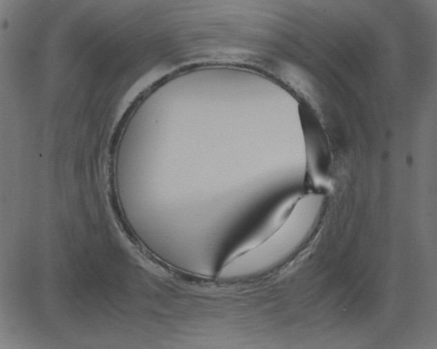 X0000081291085200702012238