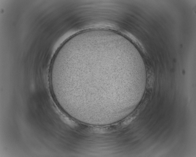 X0000081291086200702012238