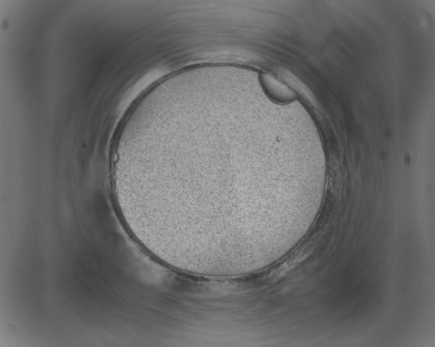 X0000081291087200702012238