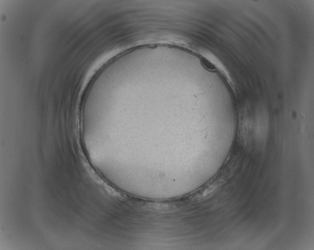 X0000081291088200702012238