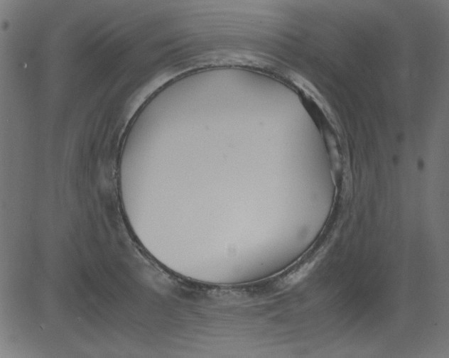 X0000081291089200702012238