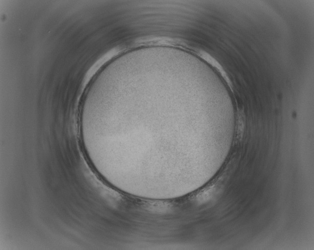 X0000081291090200702012238