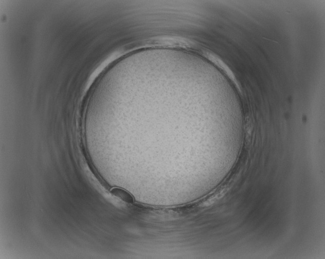 X0000081291091200702012238