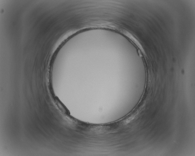 X0000081291093200702012238