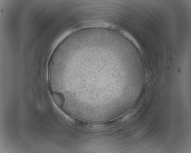 X0000081291095200702012238