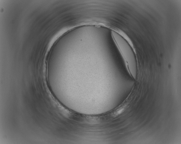 X0000081291096200702012238