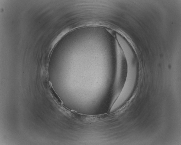 X0000081291097200702012238