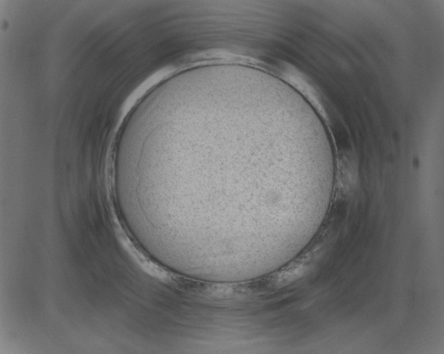 X0000081291098200702012238