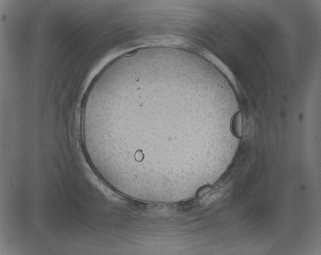 X0000081291099200702012238