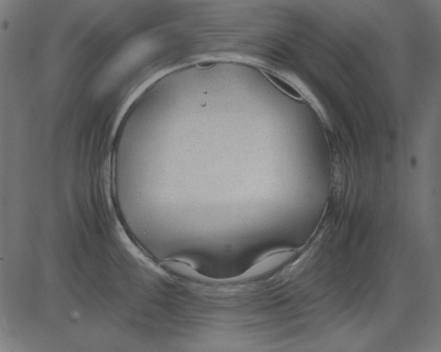 X0000081291100200702012238