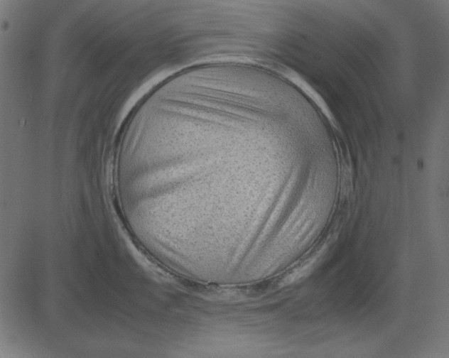 X0000081291101200702012238