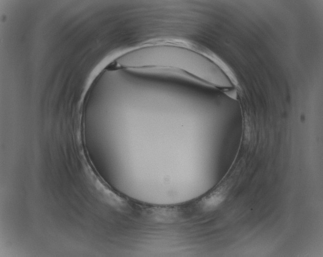 X0000081291102200702012238