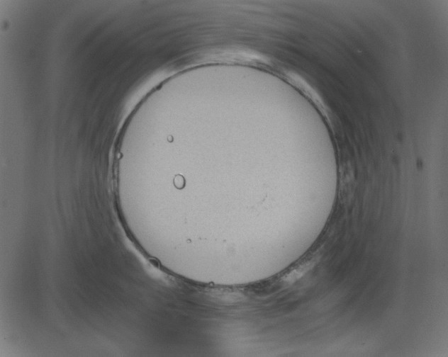 X0000081291103200702012238