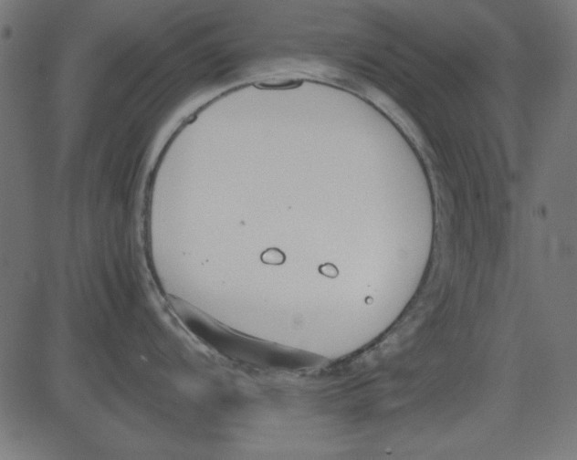 X0000081291104200702012238