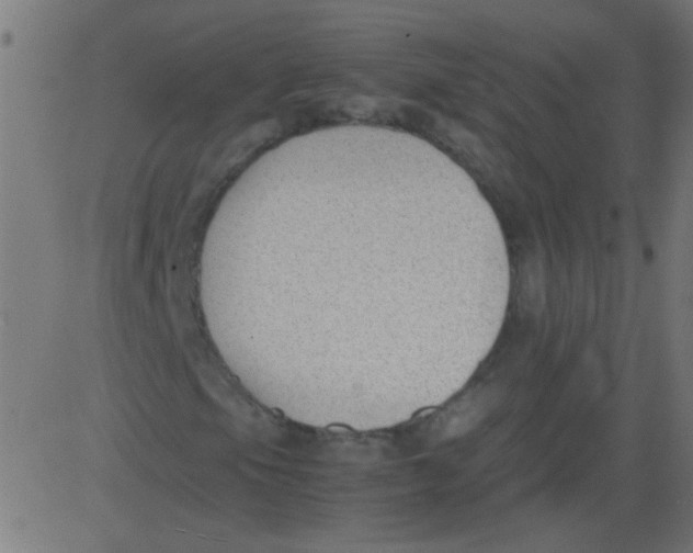 X0000081291105200702012237