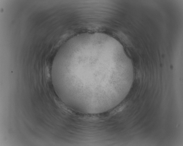 X0000081291106200702012237