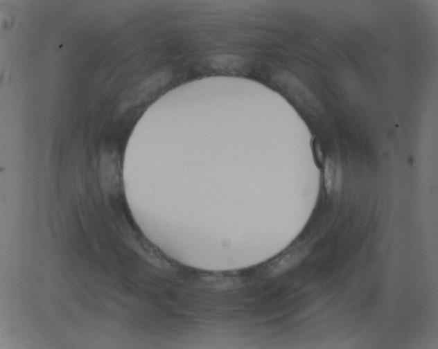 X0000081291107200702012237