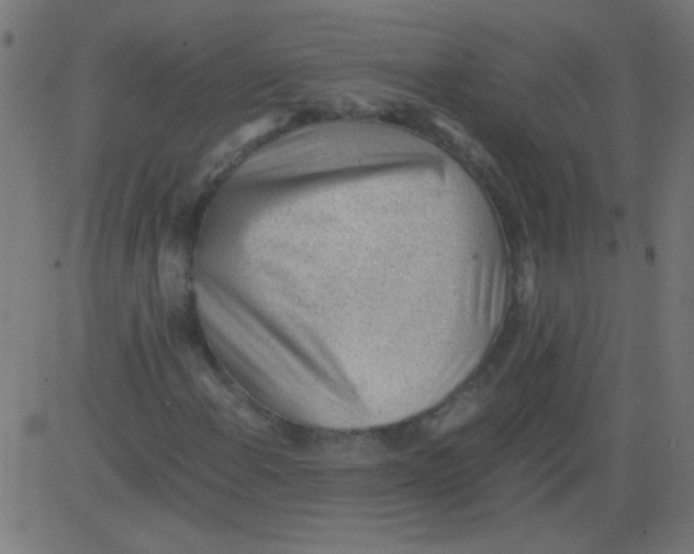 X0000081291108200702012237