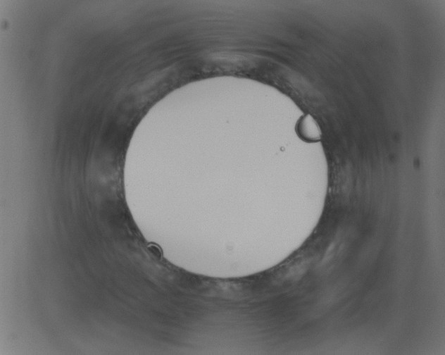 X0000081291109200702012237