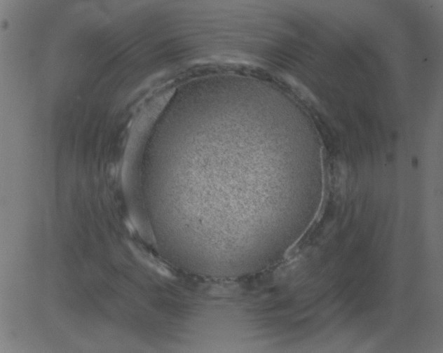 X0000081291110200702012237