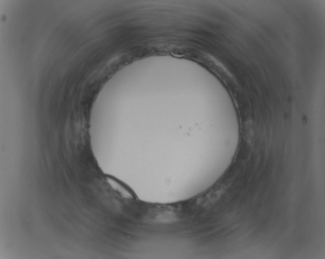 X0000081291111200702012237